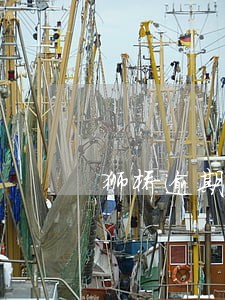 狮桥逾期费用 狮桥逾期费用