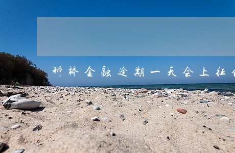 狮桥金融逾期一天会上征信吗 狮桥金融逾期一天会上征信吗