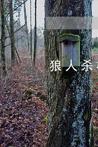 狼人杀机械狼玩法规则 狼人杀机械狼玩法规则
