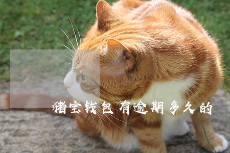 猪宝钱包有逾期多久的 猪宝钱包有逾期多久的