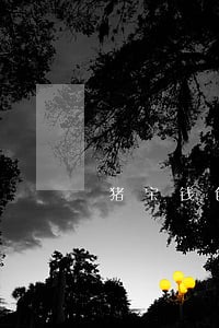猪宝钱包逾期一天会爆通讯录吗 猪宝钱包逾期一天会爆通讯录吗