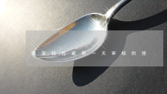 猪宝钱包逾期一天审核的慢 猪宝钱包逾期一天审核的慢