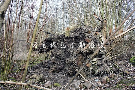 猪宝钱包逾期催收 猪宝钱包逾期催收