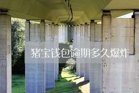 猪宝钱包逾期多久爆炸 猪宝钱包逾期多久爆炸