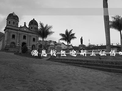 猪崽钱包逾期上征信吗 猪崽钱包逾期上征信吗