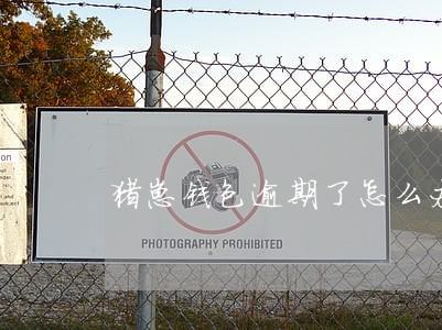 猪崽钱包逾期了怎么办 猪崽钱包逾期了怎么办