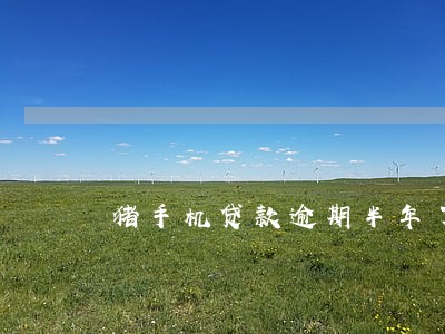 猪手机贷款逾期半年了 猪手机贷款逾期半年了