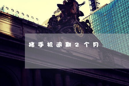 猪手机逾期2个月 猪手机逾期2个月