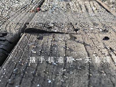 猪手机逾期一天套路了 猪手机逾期一天套路了