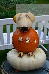 猪手机逾期一天爆通讯录