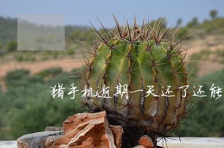 猪手机逾期一天还了还能借吗 猪手机逾期一天还了还能借吗