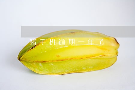 猪手机逾期一年了 猪手机逾期一年了