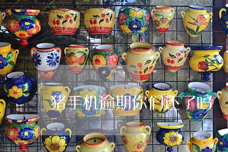 猪手机逾期你们还了吗 猪手机逾期你们还了吗