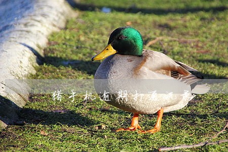 猪手机逾期打通讯录 猪手机逾期打通讯录