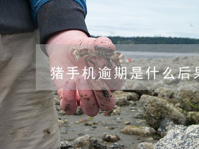 猪手机逾期是什么后果 猪手机逾期是什么后果