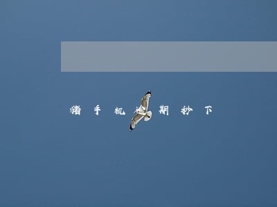 猪手机逾期秒下 猪手机逾期秒下