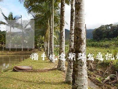 猪手机逾期群发通讯录 猪手机逾期群发通讯录