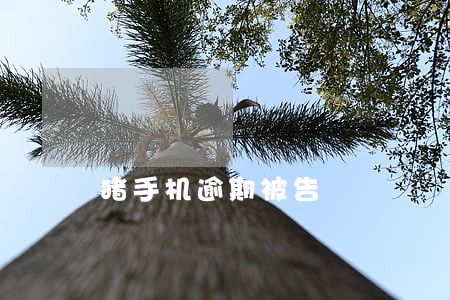 猪手机逾期被告 猪手机逾期被告