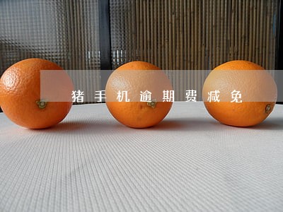 猪手机逾期费减免 猪手机逾期费减免