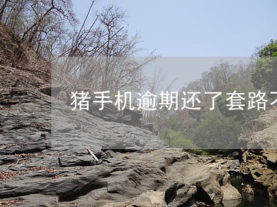 猪手机逾期还了套路不 猪手机逾期还了套路不