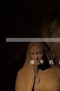 猪手机逾期还可以借吗 猪手机逾期还可以借吗