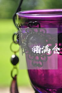 猪满仓有逾期的朋友没 猪满仓有逾期的朋友没