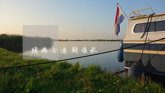 猪满仓逾期催收 猪满仓逾期催收