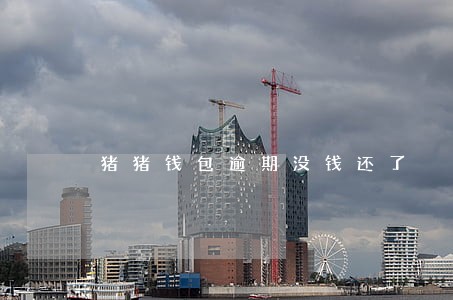 猪猪钱包逾期没钱还了 猪猪钱包逾期没钱还了