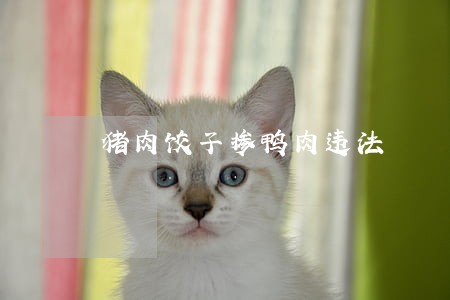 猪肉饺子掺鸭肉违法