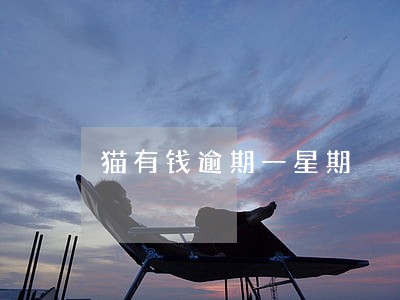 猫有钱逾期一星期 猫有钱逾期一星期