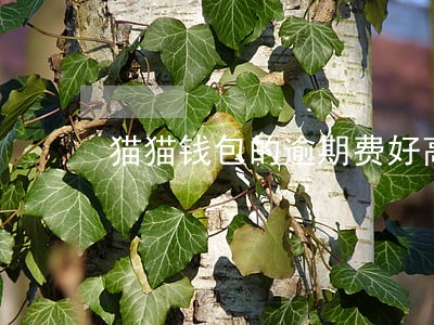 猫猫钱包的逾期费好高 猫猫钱包的逾期费好高