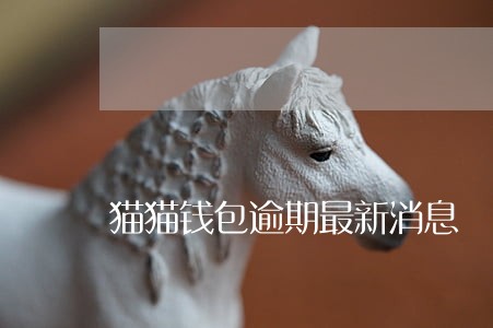 猫猫钱包逾期最新消息 猫猫钱包逾期最新消息