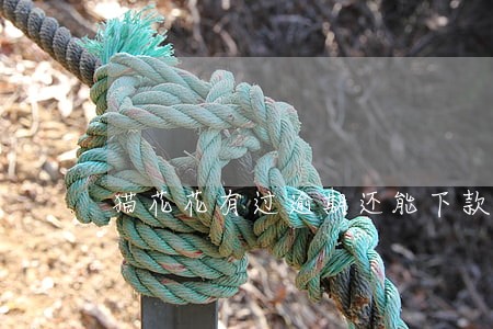 猫花花有过逾期还能下款吗 猫花花有过逾期还能下款吗