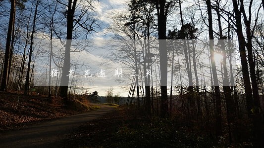 猫花花逾期三天 猫花花逾期三天