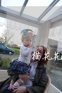 猫花花逾期了没电话 猫花花逾期了没电话