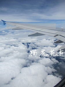 猫花花逾期会上征信吗 猫花花逾期会上征信吗