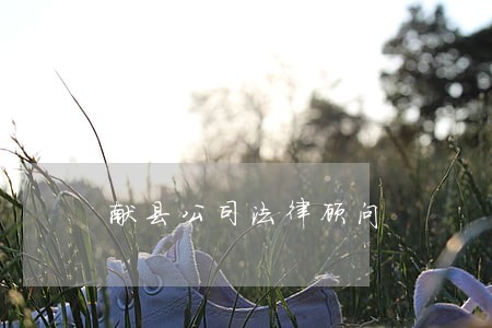 献县公司法律顾问 献县公司法律顾问