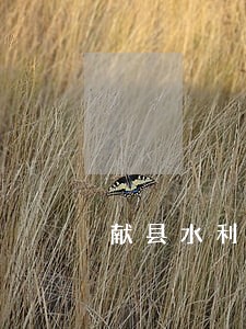献县水利电力法律咨询热线 献县水利电力法律咨询热线