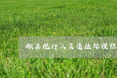 献县统计人员违法处理结果