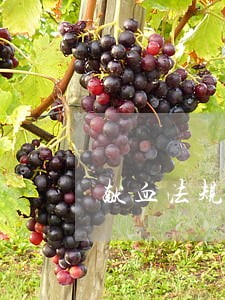 献血法规定无偿献血的年龄