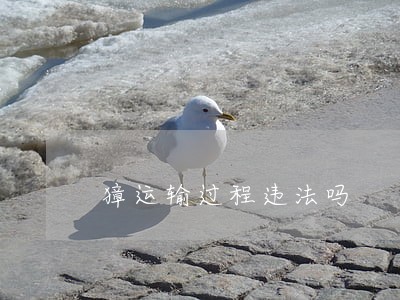 獐运输过程违法吗