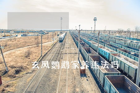 玄凤鹦鹉家养违法吗 玄凤鹦鹉家养违法吗