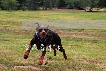 玄志磊律师 玄志磊律师