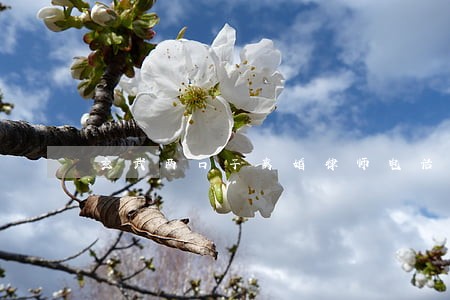 玄武两口子离婚律师电话号码 玄武两口子离婚律师电话号码