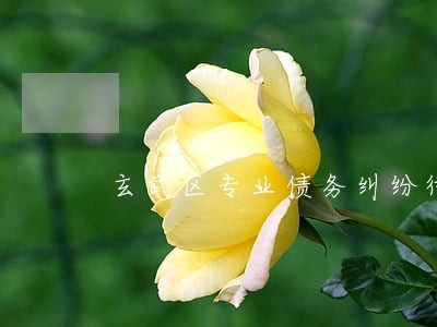 玄武区专业债务纠纷律师 玄武区专业债务纠纷律师