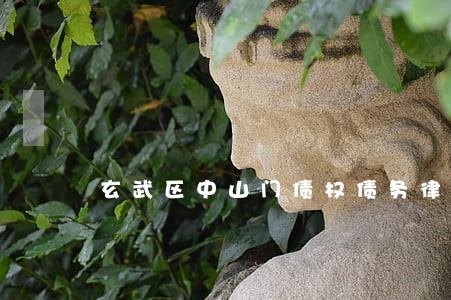 玄武区中山门债权债务律师 玄武区中山门债权债务律师