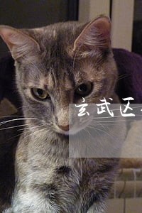 玄武区债务律师在线咨询 玄武区债务律师在线咨询