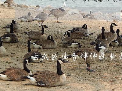 玄武区债务律师收费标准 玄武区债务律师收费标准