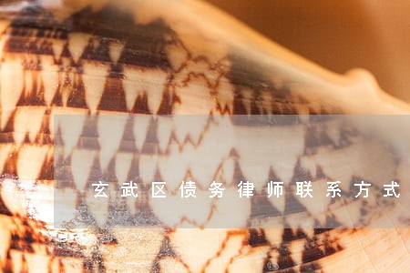 玄武区债务律师联系方式 玄武区债务律师联系方式