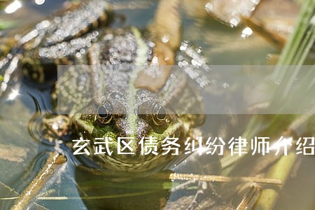 玄武区债务纠纷律师介绍 玄武区债务纠纷律师介绍